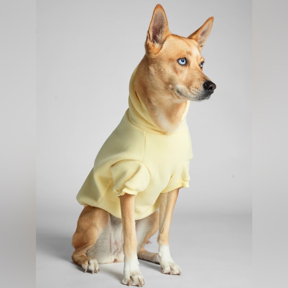Comfrt Minimalist Paw Hoodie In Buttercream - Picture 6 of 6